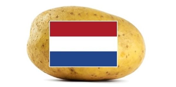 Potato Variety Presentation Days in The Netherlands 2020