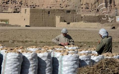 Afghanistan could be self-sufficient in potatoes with proper storage facilities Afghanistan could be self-sufficient in potatoes with proper storage facilities