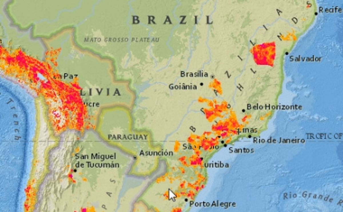 US Potato Growers Take Advantage of Opening of Brazilian Seed Potato Market