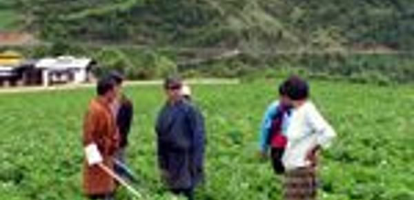  Potato farmers growing seed potatoes in Bhutan