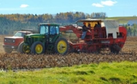 Potato harvest in full swing in Maine's Aroostook County Potato harvest in full swing in Maine's Aroostook County