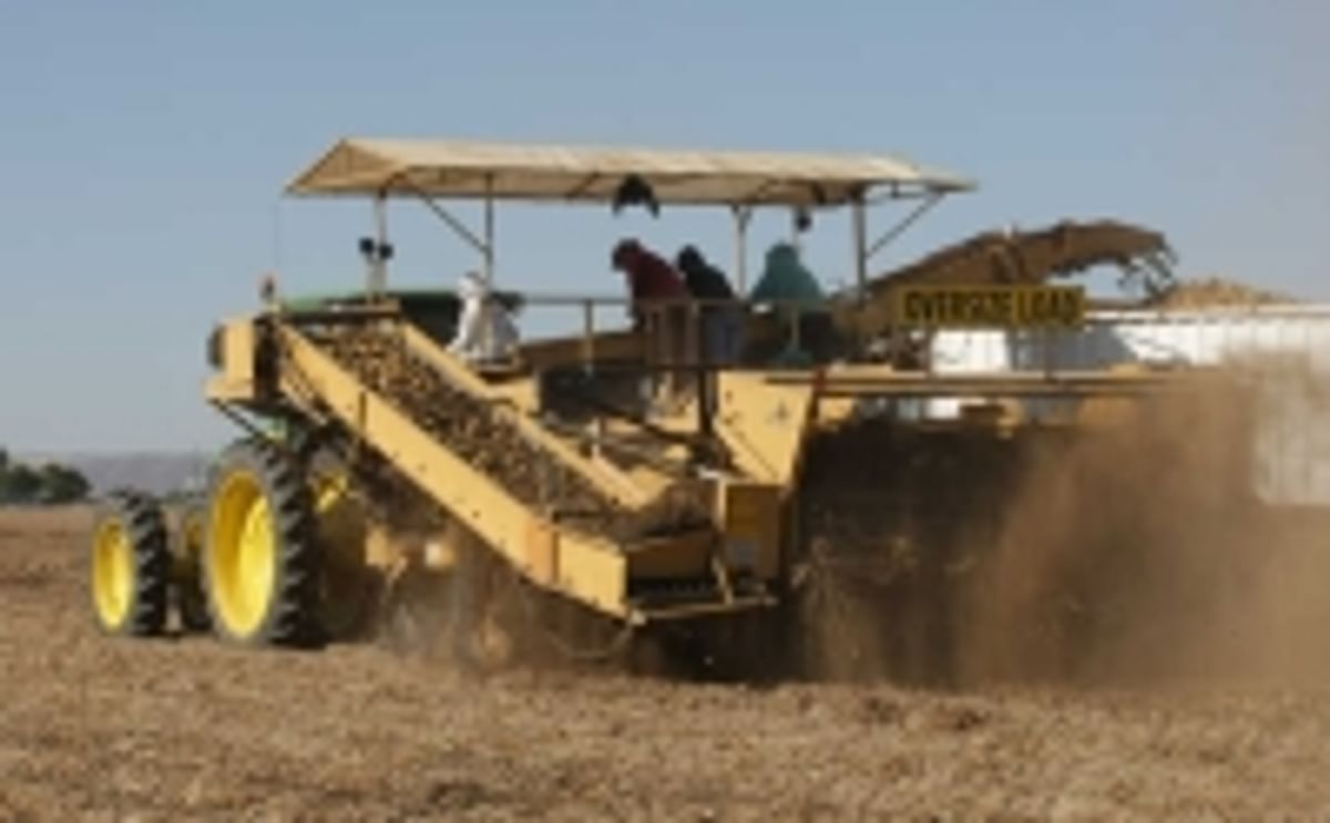Washington state potato harvest Washington state potato harvest