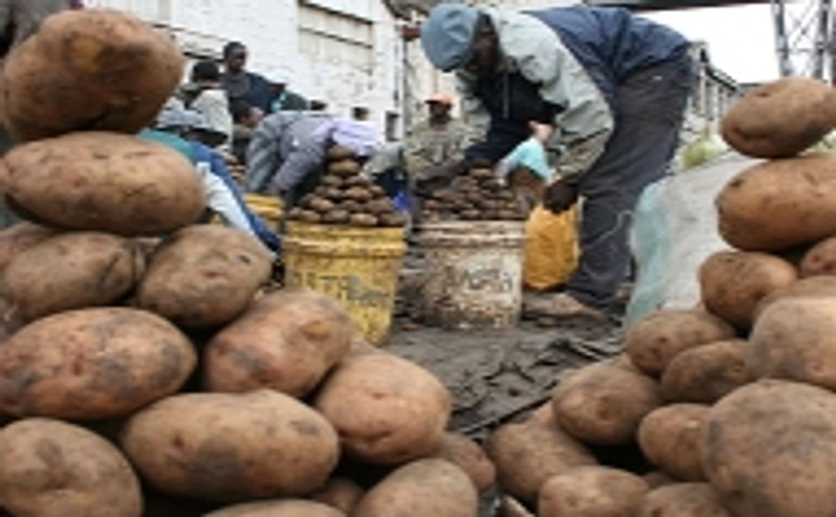 New Plan to revive potato farming in Kenya