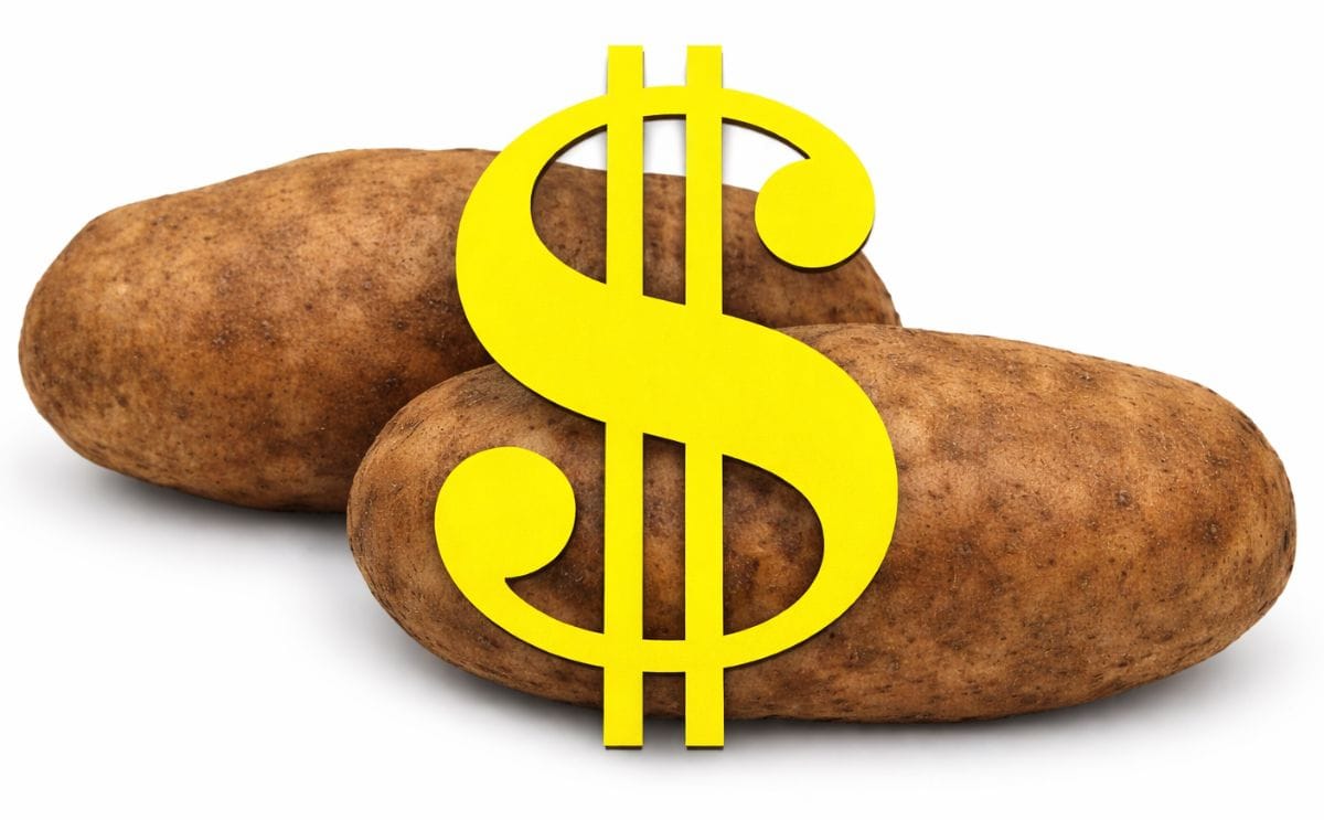 Potato Prices in North Western Europe Potato Prices in North Western Europe