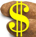 Rabobank expects moderate Price Increases to continue in EU Potato Market