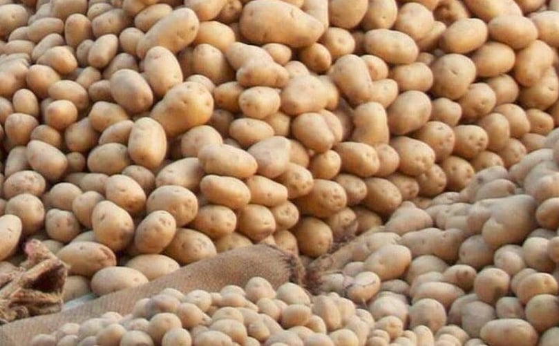 The Florigo ultra-peel® SSC 3 steam peeling solutions is perfectly suitable for peeling potatoes... The Florigo ultra-peel® SSC 3 steam peeling solutions is perfectly suitable for peeling potatoes...
