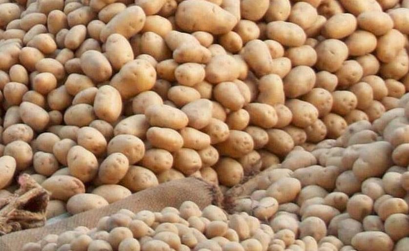 Potato Retail Sales in the United States Steady for Q2