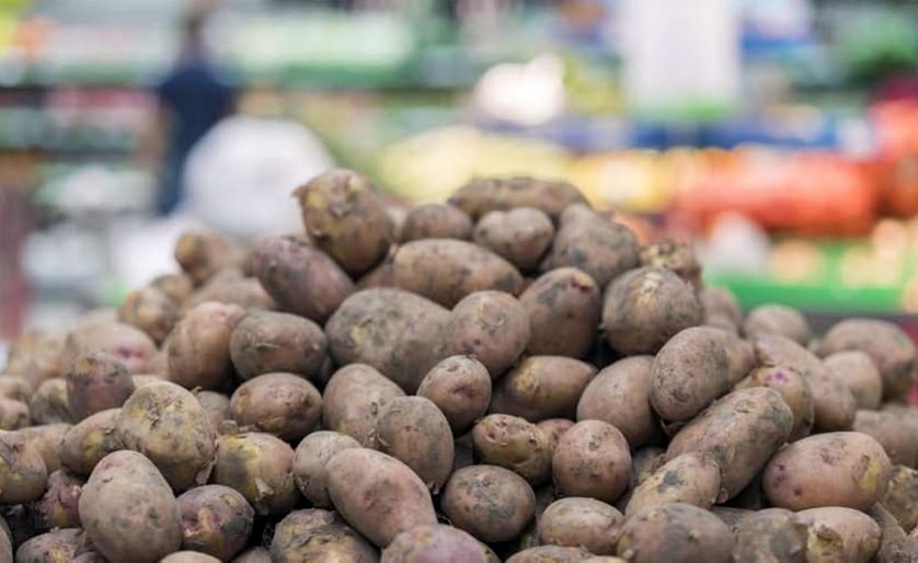 Changes to Safe Haven Standards will support long term health of GB potato industry