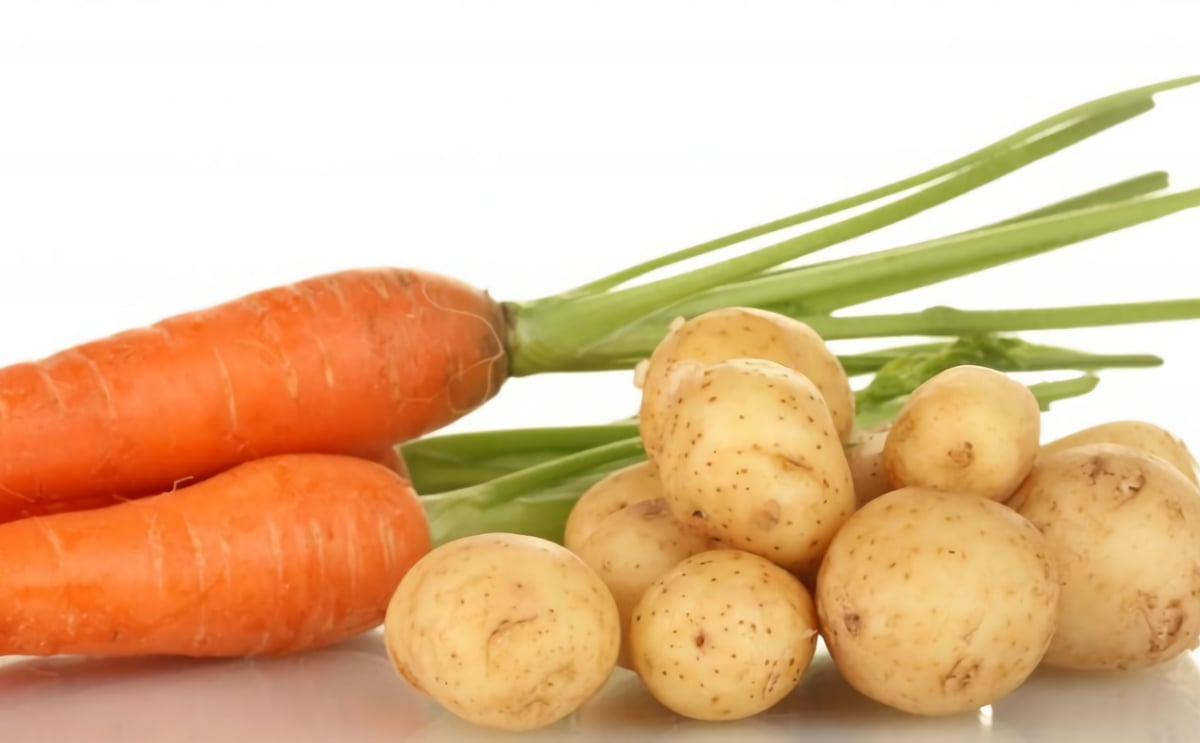 Governments of Manitoba and Canada invest in new Potato, Sweet Potato and Carrot research site Governments of Manitoba and Canada invest in new Potato, Sweet Potato and Carrot research site