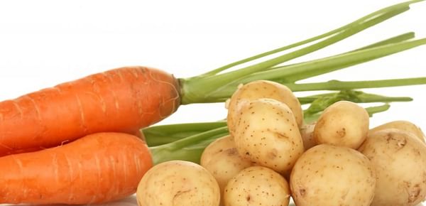 Governments of Manitoba and Canada invest in new Potato, Sweet Potato and Carrot research site