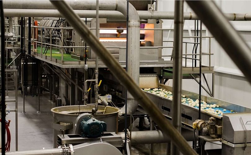 Potatoes are ready for processing at the Top Tier Ingredients flake and flour facility