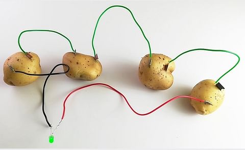 New Potato product? Potato batteries for the developing world New Potato product? Potato batteries for the developing world