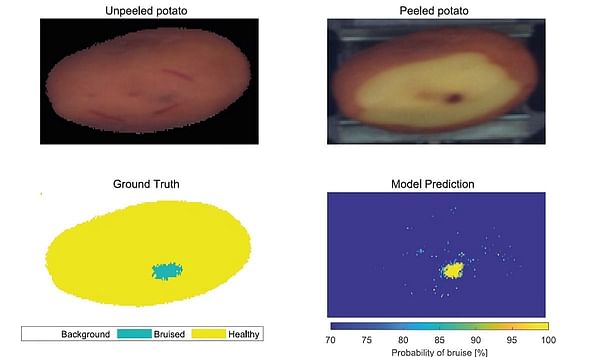 Belgian retail Chain Colruyt evaluates hyperspectral imaging to detect bruising in unpeeled potatoes