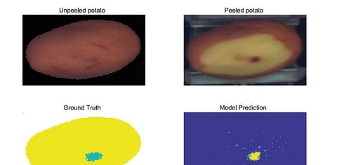 Belgian retail Chain Colruyt evaluates hyperspectral imaging to detect bruising in unpeeled potatoes