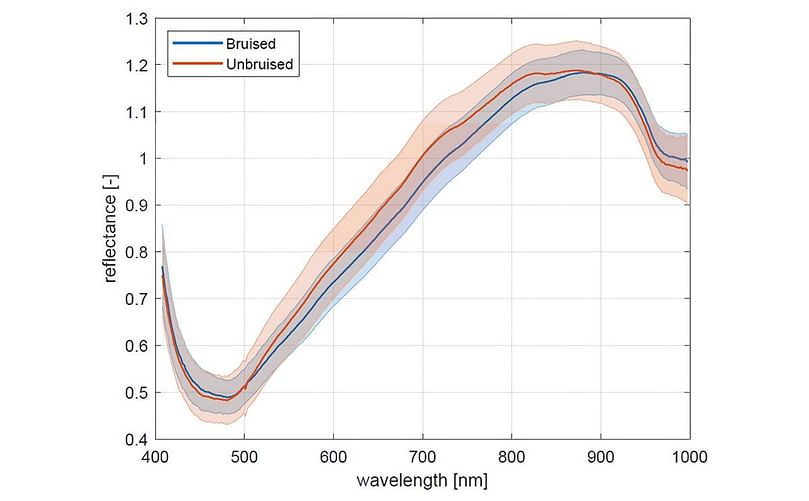 Best detection results are from wavelengths between 600 and 800 nm