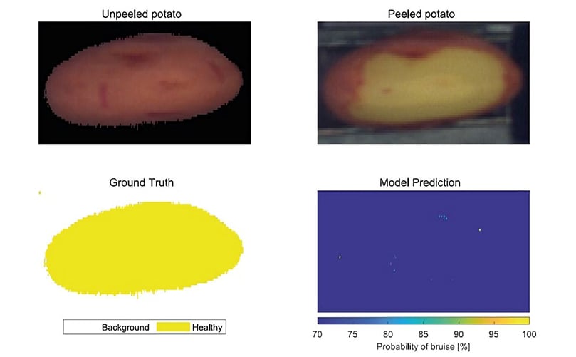 Wannes Voorend: "The Colruyt Group and KU Leuven developed a test. They wanted to see if hyperspectral image processing can solve the problem." Wannes Voorend: "The Colruyt Group and KU Leuven developed a test. They wanted to see if hyperspectral image processing can solve the problem."