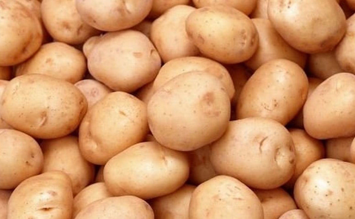 Costa Rica Announces Intention to Reopen Chipping Potato Market to US Chip Stock Costa Rica Announces Intention to Reopen Chipping Potato Market to US Chip Stock