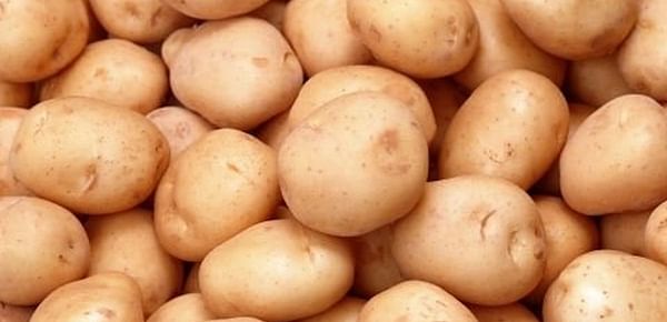Costa Rica Announces Intention to Reopen Chipping Potato Market to US Chip Stock