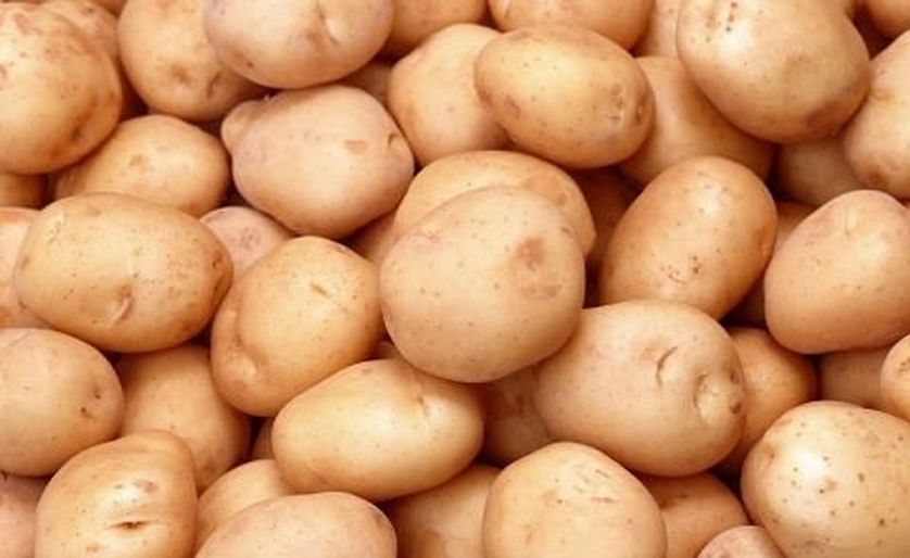 Potatoes for Chipping need to be low in reducing sugars and they should not be to large. Also a somewhat round shape is preferable.