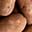Potatoes for French Fry production