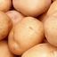 Potatoes for Chips Production