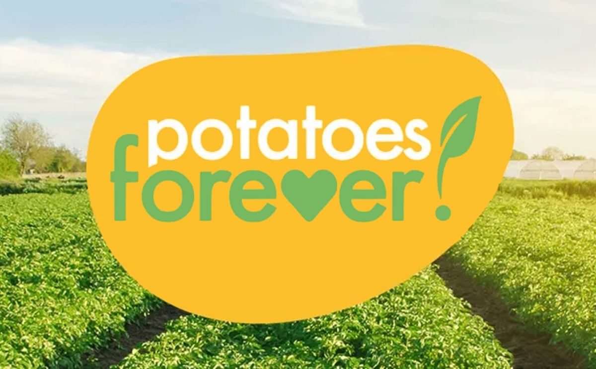 Europa: Patatas Para Siempre! Europa: Patatas Para Siempre!