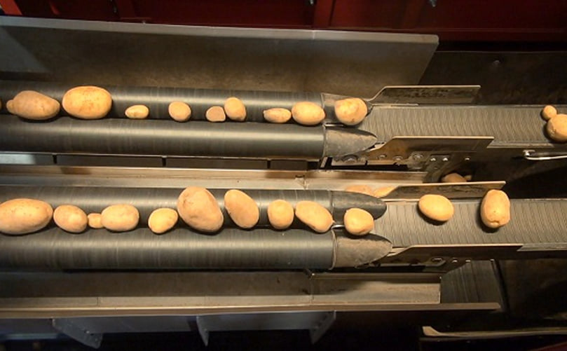 Potato grading by GeJo Grading Services Potato grading by GeJo Grading Services