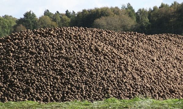 Searching for the occasional market for excess potatoes