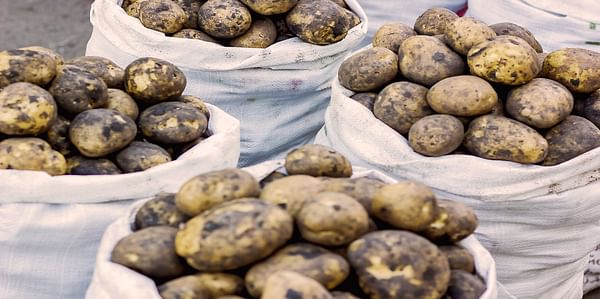 With National Elections Barely Two Months Away, Bangladesh Government Is on a High Alert at Rising Potato Prices