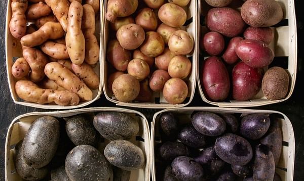 U.S. Potato Imports Continue to Increase.