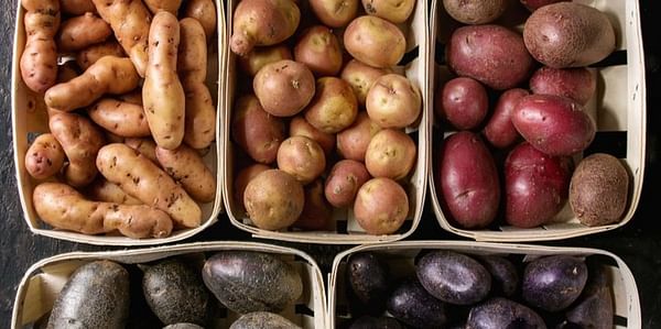 U.S. Potato Imports Continue to Increase.