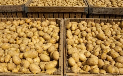 Potato recipe tips by chefs and foodservice heads Potato recipe tips by chefs and foodservice heads