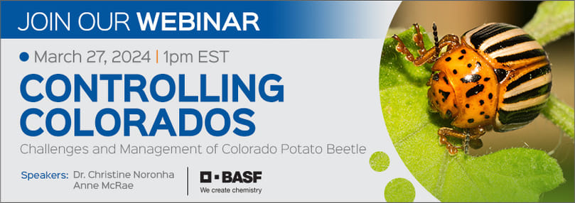 Join the webinar