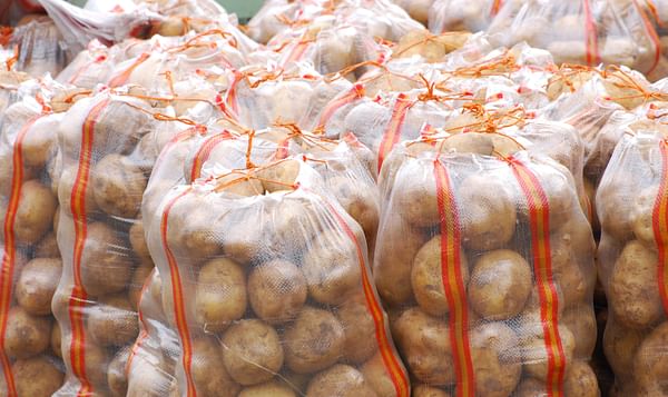 Experts call for more investment in Rwanda potato production and storage