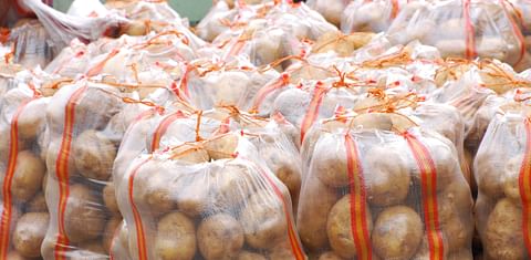 Experts call for more investment in Rwanda potato production and storage