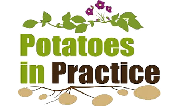 Potatoes in Practice 2017