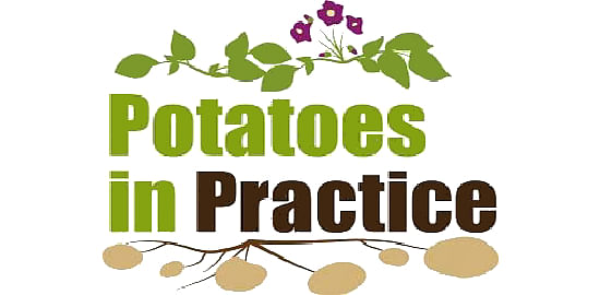 Potatoes in Practice 2017