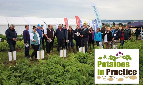 Potatoes in Practice: Britain’s largest technical potato field event is this week