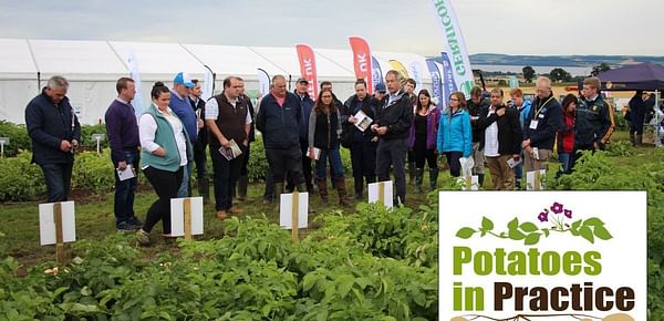 Potatoes in Practice: Britain’s largest technical potato field event is this week