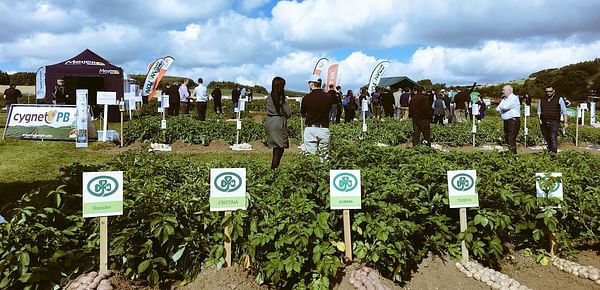 Climate-resilient spuds in focus at Potatoes in Practice 2018