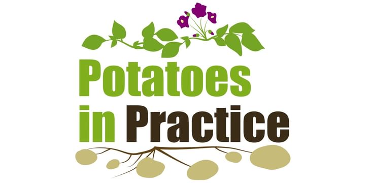 potatoes-in-practice-2023-logo-1200.jpeg