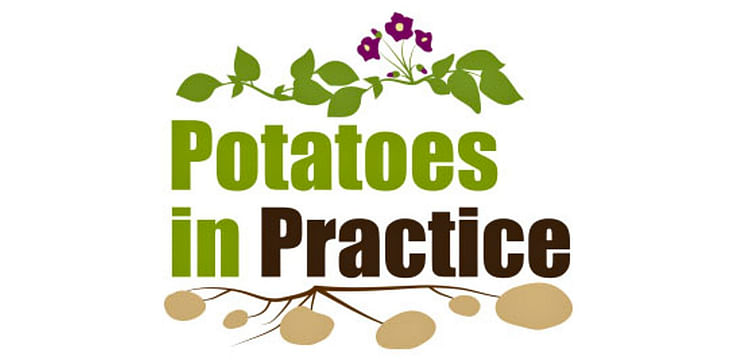 Potatoes in Practice 2025