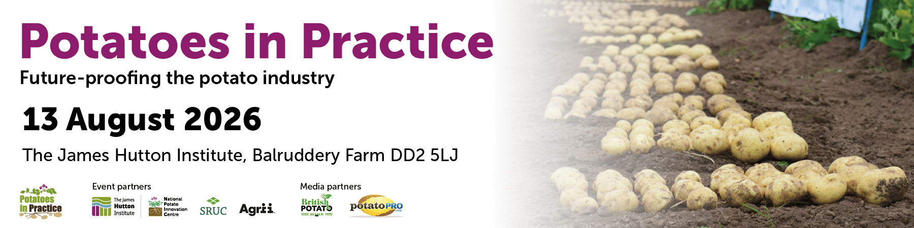 Potatoes in Practice - Leaderboard - 20260415