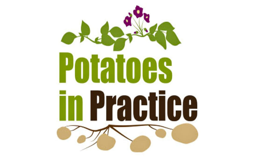 Potatoes in Practice Scotland: Potato Variety Trials, Research Demonstrations, and Field Innovation Showcase