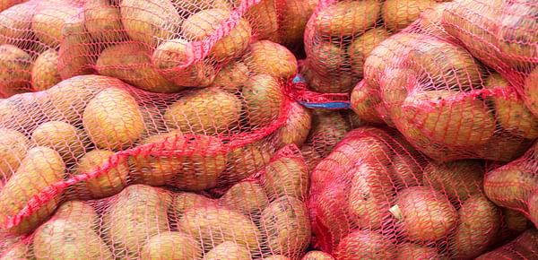 Zimbabwe: Ban on potato imports from South Africa riles vendors