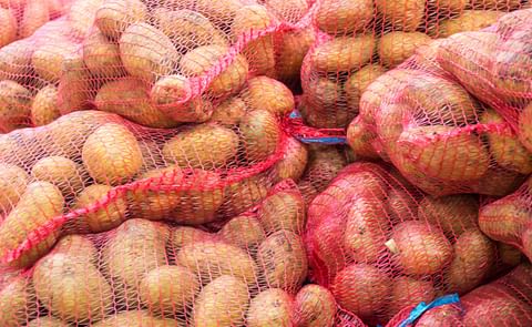 Potatoes in red bags Potatoes in red bags