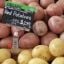 Potatoes in Retail