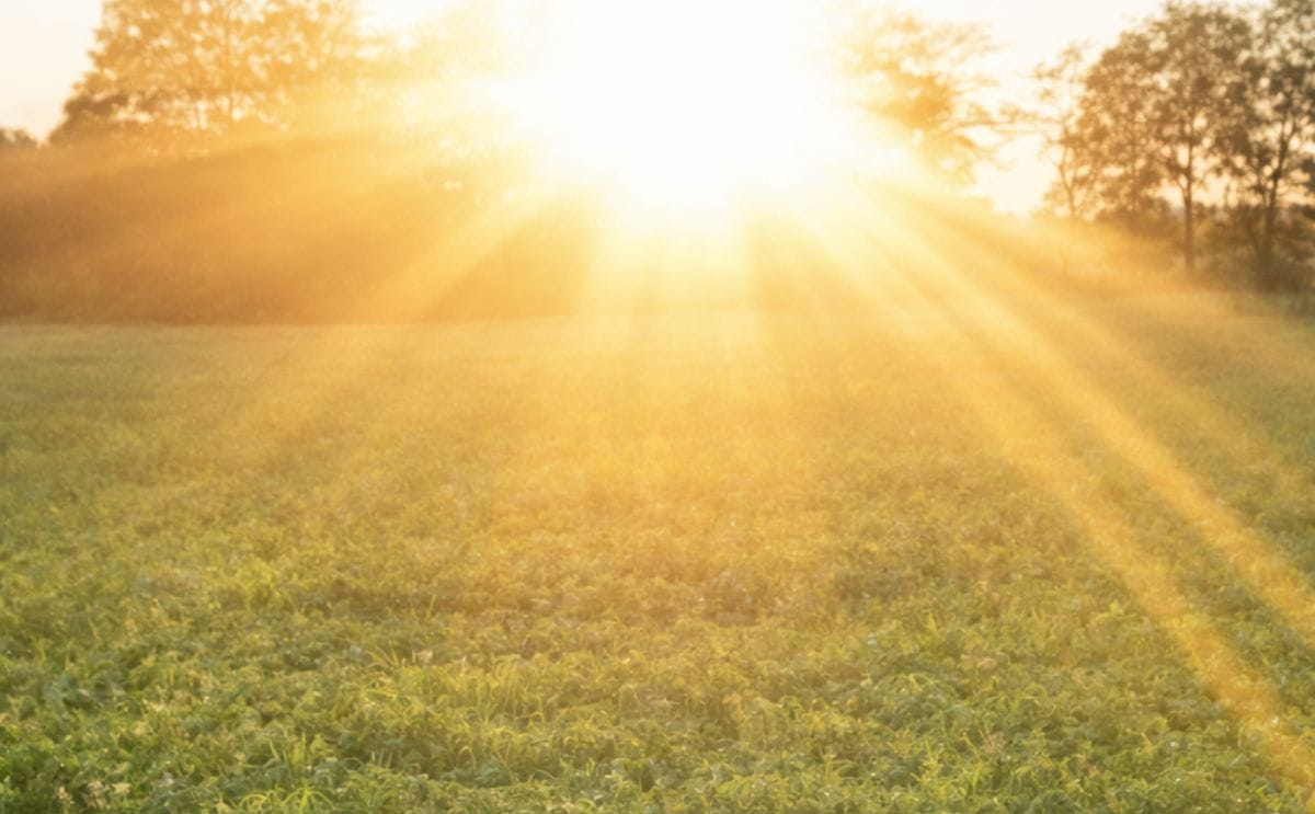 Washington potato crop heating up