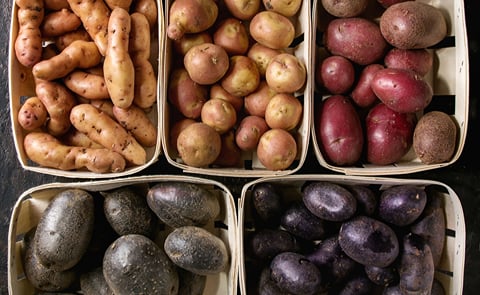 Yellow, white, and medley potatoes contributed the largest volume increases for the fresh category in the fourth quarter, up by 6.9%, 15.5%, and 24.5%, respectively. Red potatoes saw the largest decline in volume sales falling by -7.5%. Yellow, white, and medley potatoes contributed the largest volume increases for the fresh category in the fourth quarter, up by 6.9%, 15.5%, and 24.5%, respectively. Red potatoes saw the largest decline in volume sales falling by -7.5%.