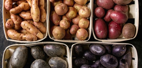Potato Sales United States Retail Up April to June